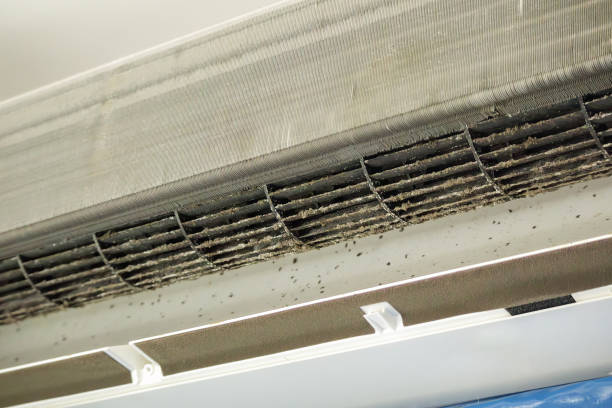 Best Air Vent Cleaning Services  in Chleston, AR